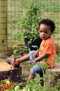Head Start Gardeners Head Start Gardeners