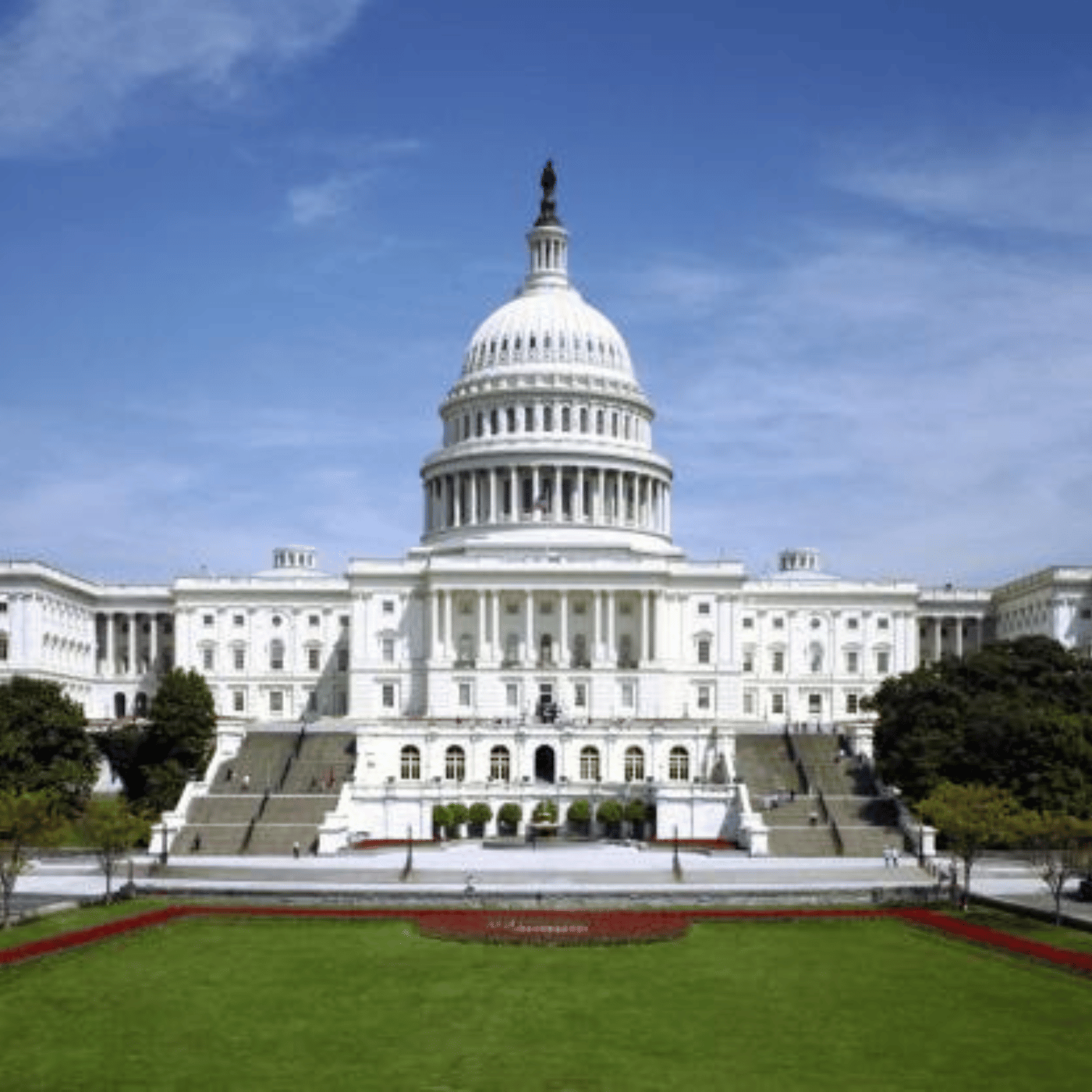 Advocacy Advocacy