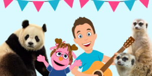 Panda birthday Panda birthday