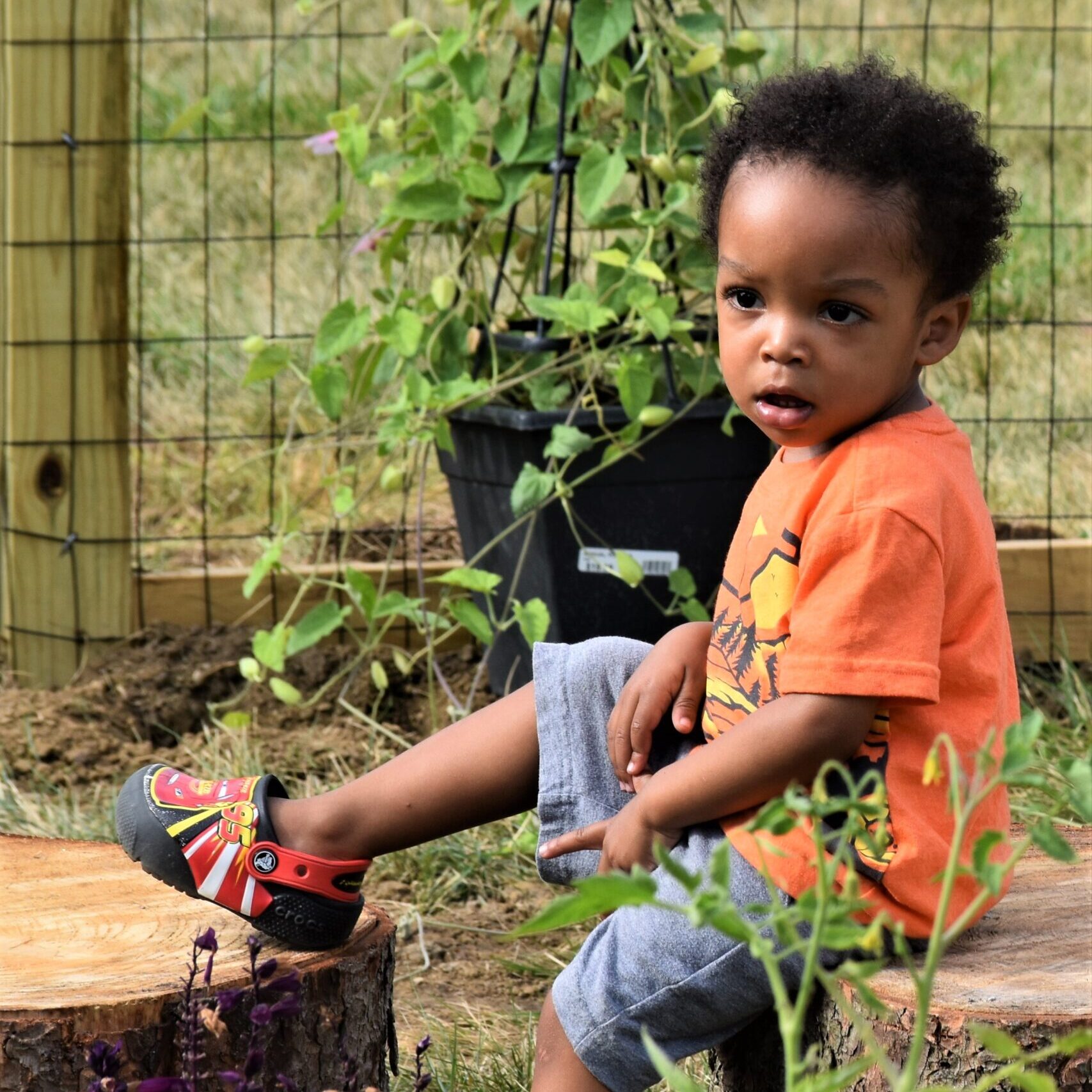 Head Start Gardeners Head Start Gardeners